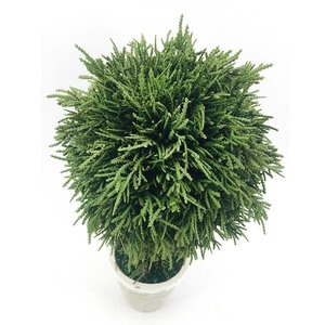 Venda Árvore de Cipreste Artificial <span class=keywords><strong>Topiary</strong></span> Decoração Ao Ar Livre - Product Image 3