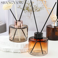 Diffuseur d'huiles essentielles en verre 120 ml pour aromathérapie, avec bâtonnets en rotin
