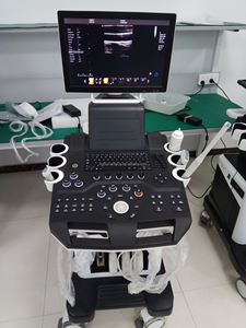Rumah Sakit portabel warna Doppler Ecograph Harga terbaik 3d dokter hewan portabel warna Doppler Ultrasound - Product Image 2