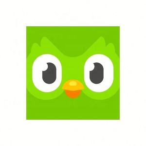Cuenta Premium de Duolingo Pro, 1 Año, Aplicable Globalmente, Activa Tu Propia Cuenta - Product Image 4