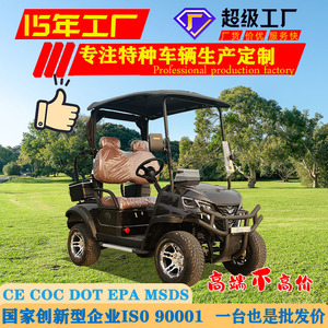 Qilu Fengde Electric Golf Cart 48V 2WD 2 Seat For Tourism And Hotel <b>Transport</b> - Product Image 5