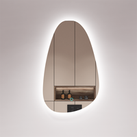 Miroir LED mural sans cadre de forme irrégulière, deux couleurs d'éclairage, pour salle de bain