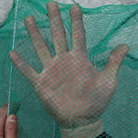 Cage de pêche multifilament longue vente directe du fabricant Dragon Bubu PE/Nylon piège à appâts pliable Double pot de crabe crevettes