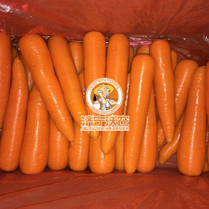 <span class=keywords><strong>2025</strong></span> <span class=keywords><strong>New</strong></span> Crop cà rốt bán buôn tươi màu Đỏ cà rốt - Product Image 3