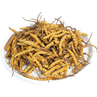 Flor Cordyceps de alta calidad Cordyceps militaris cordiceps Cordyceps sinensis