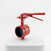 Vanne papillon rainurée à levier en fonte ductile DN150 PN16 pour équipement de lutte contre l'incendie, compatible OEM, pour conduite d'incendie