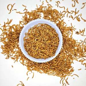 Alimento <span class=keywords><strong>para</strong></span> Peces Ornamentales Pequeños con Alto Contenido de Proteínas, Golosina <span class=keywords><strong>para</strong></span> Mascotas que Realza el Color, 100% Natural <span class=keywords><strong>para</strong></span> <span class=keywords><strong>Guppys</strong></span>, Golondrinas, Tortugas y Camarones - Product Image 2