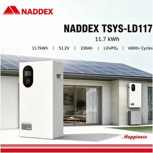 Fabrikpreis <span class=keywords><strong>Solax</strong></span> TSYS-LD-117 Festkörper-Lithium-Batterie Energiespeichersystem LiFePO4 6000 Zyklen Solarenergiespeicher - Product Image 1