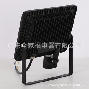 <b>Led</b> Flood <b>Light</b> 50W Ip66 Cob Chip Wall Mount With <b>Motion</b> <b>Sensor</b> Outdoor Lighting - Product Image 2