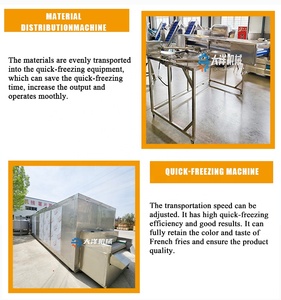 Linea di Produzione Automatica di <span class=keywords><strong>Patatine</strong></span> <span class=keywords><strong>Fritte</strong></span> Congelate DY con <span class=keywords><strong>Disegni</strong></span> Forniti, Capacità 200-3000kg/h - Product Image 5