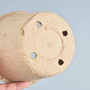 Macetas Biodegradables para Viveros OEM |   Macetas Compostables Resistentes con Diseño de Poda Aérea - Product Image 3