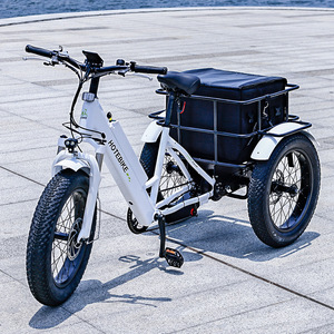 <span class=keywords><strong>Ebike</strong></span> cargo Fat tire mascota perro al aire libre camping accesorios móvil comida viaje bicicleta eléctrica <span class=keywords><strong>remolque</strong></span> - Product Image 6