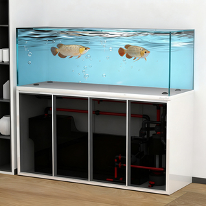 Nouvel Aquarium sans Cadre <span class=keywords><strong>Grande</strong></span> Taille Star River 2025 avec Porte Frontale et <span class=keywords><strong>Film</strong></span> Teinté en Verre Pare-balles pour Décoration Intérieure et Élevage de Poissons Dragon - Product Image 4