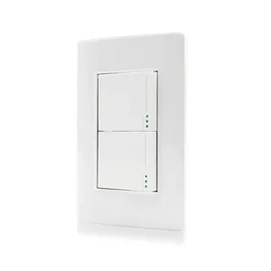 118 Type American Standard White Color PC Cover Light Switch 2 Gang 1 Way Lighting Switch 110 Volts - 250 Volts