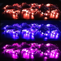 Mise à niveau produit 28V 100ft façade Led point d'éclairage émettant une lumière extérieure permanente colorée pour le bâtiment