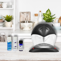 Fabricant chinois d'humidificateurs et diffuseurs d'arômes électriques portables sans brume, purificateur d'air intérieur