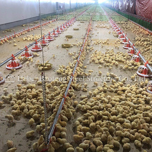 <span class=keywords><strong>2025</strong></span> Gà nhà prefab thép gia cầm nhà trang trại với <span class=keywords><strong>ISO</strong></span> <span class=keywords><strong>9001</strong></span> giấy chứng nhận sản xuất tại Trung Quốc - Product Image 5