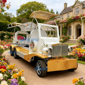 Cercueil électrique de luxe classique et populaire, berline funéraire moderne et raffinée, fourgon-cercueil de luxe pour transport spécial - Product Image 2