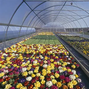 high quality multi layered Greenhouse film pe film for crop cultivation 10 meter width green house film mfg in INDIA