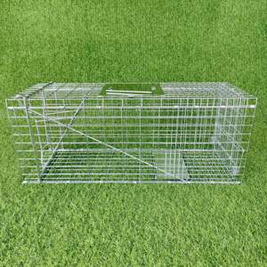 Jaula trampa para animales vivos humana de gran oferta galvanizada plegable de alta calidad para Conejo, zorro, mapache, mofeta, perro, <span class=keywords><strong>Lobo</strong></span> - Product Image 4