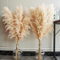 Bâtonnets de fleurs de roseau couleur moutarde, grandes petites fleurs artificielles blanches naturelles préservées de l'herbe de la pampa pour salon