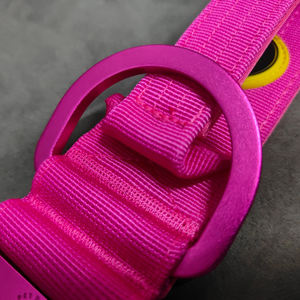 Populaire Huisdierenproducten 2024 Lichtere Aluminium Gesp Hondenhalsband Met Handvat Zware Tactische Halsband En Riem - Product Image 5