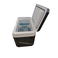 Nevera multifuncional verano coche Camping suministros esenciales nevera portátil refrigerador
