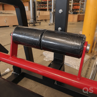Appareil Commercial 2-en-1 à Charge de Plaques pour Abdominaux Assis et Extensions Dorsales – Équipement de Fitness pour le Renforcement du Tronc
