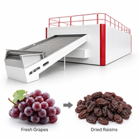 Shouchuang OEM/ODM industriële continue mesh-belt fruitdroogmachine voor het drogen van verse druiven tot rozijnen.