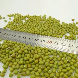 2022 New Crop Export Grade Green Mung Beans Different Size Whole Mung Beans