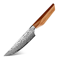 Couteau à steak moderne de 5 pouces en acier Damas AUS10, couteau à viande en acier au carbone avec manche en bois de rose africain
