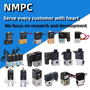 2v025-06 1/<span class=keywords><strong>8</strong></span> inch 2 cách khí nén solenoid Van đa dạng điều khiển không khí van nhóm cho không khí nước DC12V DC24V AC24V AC110V AC220V - Product Image 6
