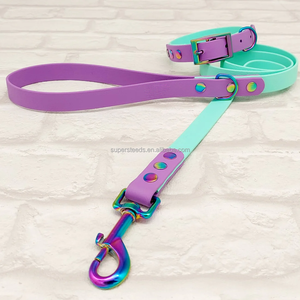Correa de perro de <span class=keywords><strong>color</strong></span> combinado a la moda con <span class=keywords><strong>collar</strong></span> a juego con gancho bonito soporte de plomo de perro impermeable duradero personalizar <span class=keywords><strong>Color</strong></span> y tamaño - Product Image 2