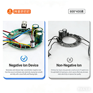 Styler Dys 2 in 1, Asciugacapelli e Piastra per Capelli con Logo OEM, Phon ad Aria Calda per Lisciare e Arricciare - Product Image 6