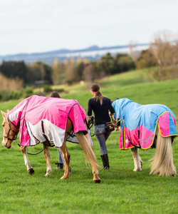 <span class=keywords><strong>Couverture</strong></span> d'été pour <span class=keywords><strong>cheval</strong></span> de haute qualité, couvertures pour chevaux avec col amovible, <span class=keywords><strong>imperméable</strong></span> pour protéger des moustiques - Product Image 6