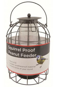 <strong>Bird</strong> <strong>Feeder</strong> for Small Backyard <strong>Birds</strong> Only <strong>Bird</strong> <strong>Feeder</strong> Squirrel Proof/Chew Proof/Rustproof Fill with Wild <strong>Bird</strong> Seed - Product Image 3