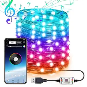 10M APP בקרת מחרוזת אורות RGB כחול-שן מוסיקה סנכרון USB מופעל פיות חג פסטיבל המפלגה חג המולד דקור