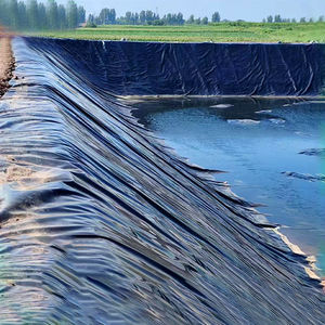 HDPE geomembrana stagno fodera diga per acquacoltura all'aperto acquacoltura discarica impermeabile industriale rivestimento liscia superficie ruvida - Product Image 1
