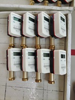 Medidor de Agua Inteligente IP68 de Alta Precisión Ultrasónico DN15-40 Lorawan GSM 4G de Latón OEM con Control de Válvula