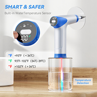 Offre Spéciale : Nouveau Kit de Nettoyage d'Oreilles avec Lumière LED, Outil de Retrait de Cérumen et Irrigateur Auriculaire (sans caméra)