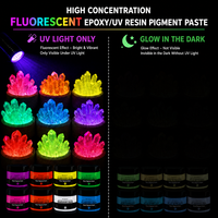 TIMESRUI Pigment Fluorescent Liquide de Haute Qualité pour Résine Époxy, Pâte Colorante Néon 10 Couleurs pour Pigments Cuir, Bricolage et Cadeaux