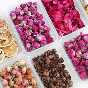 Materiales de flores secas con fragancia subtil y sombras difusas para kits de fabricación de velas con capullos de rosa, piñas y rodajas de limón - Product Image 1