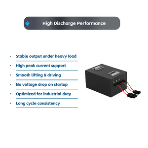 Lithium <b>Battery</b> Pack with BMS 24V <b>48V</b> 80V Replacement Power System - Product Image 3