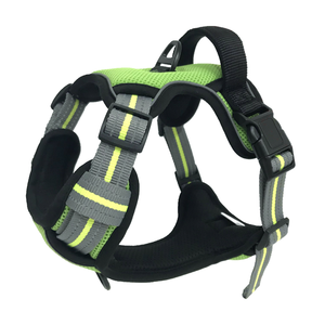 Yeni İnovasyon Köpek Tasması Seti Yumuşak Dolgulu Polyester Çevre Dostu Ayarlanabilir Dayanıklı Lüks Moda Tasarım Özel Evcil Hayvan Malzemeleri - Product Image 3