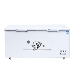 Grand <span class=keywords><strong>réfrigérateur</strong></span> commercial horizontal à économie d'énergie avec 2 portes Options de congélateur simple et double température - Product Image 1