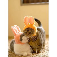Vente en gros d'accessoires pour animaux de compagnie individuation oreilles mignonnes décoration décontractée de chapeau de chien de chat