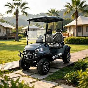 Voiturette de golf électrique certifiée CE, 6 places, 48V, série de vente mobile en métal, édition limitée, autonomie 90 km, vitesse 30 km/h - Product Image 1