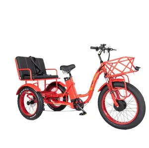 Riquixá elétrico pneu gordo 750W e trike 2 assentos adulto três rodas pneu gordo eiectric triciclo