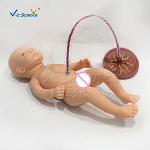 Model keperawatan tali pusar Neonatal tingkat lanjut - Product Image 4