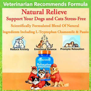 Vente directe usine : Comprimés AINA <span class=keywords><strong>pour</strong></span> le soutien immunitaire des chiens et des chats – L-Théanine, extraits de magnolia, vitamines et minéraux – Action rapide - Product Image 2